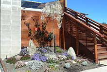 Landscaping Christchurch