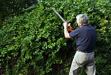 Garden Maintenance Christchurch